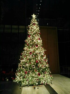 ให้เช่าต้นคริสต์มาสปลอม ขนาด20ฟุต พร้อมตกแต่งครบมาตราฐาน