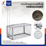 กรงดักหนูแบบสปริงคู่ 14.5x28x14.5 cm