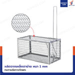 กรงดักหนูแบบสปริงคู่ 14.5x28x14.5 cm
