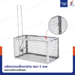กรงดักหนูแบบสปริงคู่ 14.5x28x14.5 cm