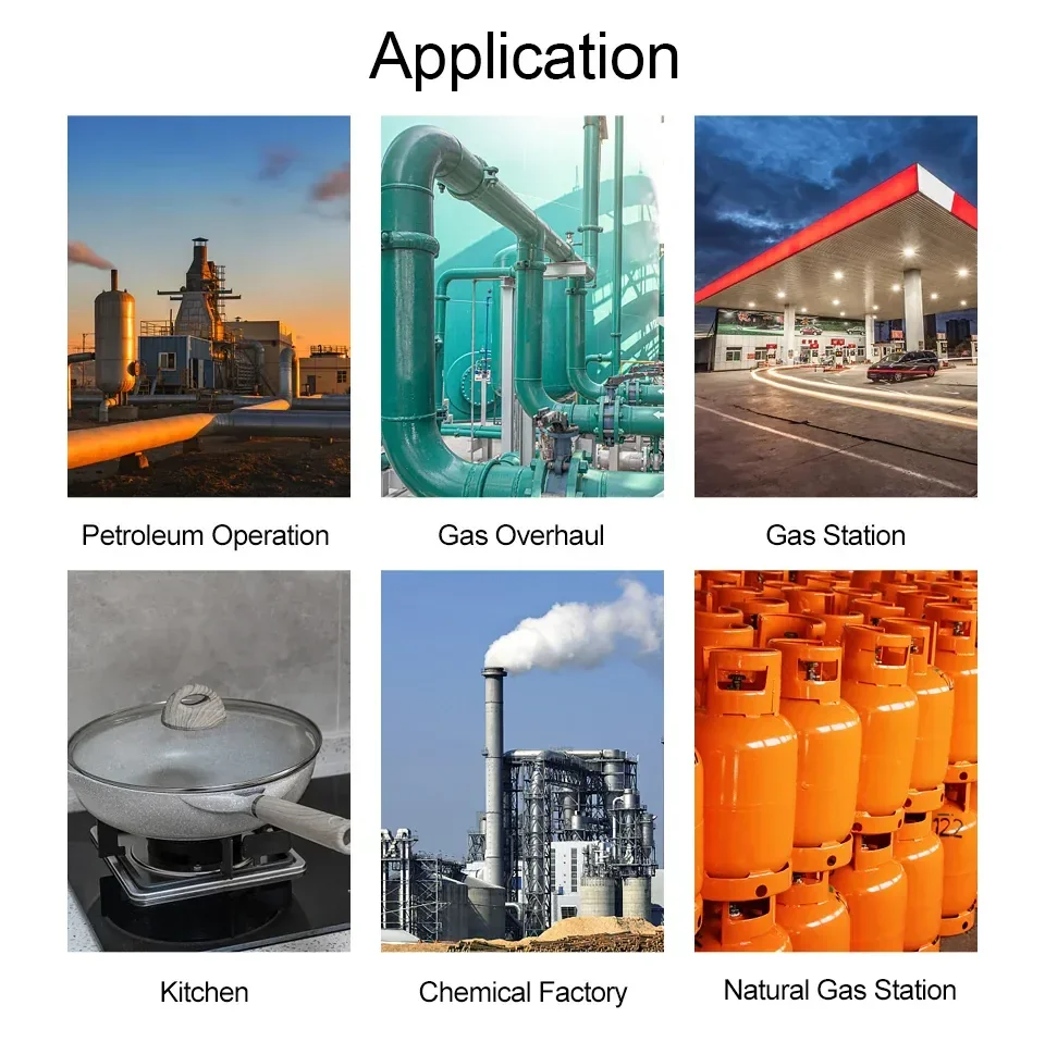 เครื่องตรวจจับก๊าซไวไฟ Combustible Gas Detector SMART SENSOR AS8800C เครื่องตรวจจับก๊าซไวไฟ Combustible Gas Detector SMART SENSOR AS8800C