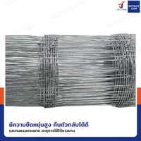 รั้วตาข่ายถักปม รุ่นตาถี่ล่างห่างบน ช่อง 4x6 นิ้ว หนา 2 มม. 1.5x30 เมตร รั้วตาข่ายถักปม รุ่นตาถี่ล่างห่างบน ช่อง 4x6 นิ้ว หนา 2 มม. 1.5x30 เมตร