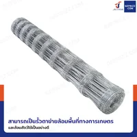 รั้วตาข่ายถักปม รุ่นตาถี่ล่างห่างบน ช่อง 4x6 นิ้ว หนา 2 มม. 1.5x50 เมตร รั้วตาข่ายถักปม รุ่นตาถี่ล่างห่างบน ช่อง 4x6 นิ้ว หนา 2 มม. 1.5x50 เมตร
