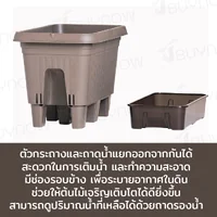 กระถางต้นไม้ 500 ML รดน้ำอัตโนมัติ สีน้ำตาล JP QUALITY 28x50x32 ซม. MA-2282 กระถางต้นไม้ 500 ML รดน้ำอัตโนมัติ สีน้ำตาล JP QUALITY 28x50x32 ซม. MA-2282