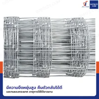 รั้วตาข่ายถักปม รุ่นตาถี่ล่างห่างบน ช่อง 4x6 นิ้ว หนา 2 มม. 1.5x50 เมตร รั้วตาข่ายถักปม รุ่นตาถี่ล่างห่างบน ช่อง 4x6 นิ้ว หนา 2 มม. 1.5x50 เมตร