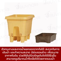 กระถางต้นไม้ 500 ML รดน้ำอัตโนมัติ สีเหลือง JP QUALITY 28x50x32 ซม. MA-2281 กระถางต้นไม้ 500 ML รดน้ำอัตโนมัติ สีเหลือง JP QUALITY 28x50x32 ซม. MA-2281