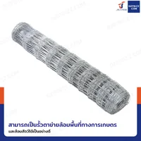 รั้วตาข่ายถักปม รุ่นตาถี่ล่างห่างบน ช่อง 4x6 นิ้ว หนา 2 มม. 1.2x50 เมตร รั้วตาข่ายถักปม รุ่นตาถี่ล่างห่างบน ช่อง 4x6 นิ้ว หนา 2 มม. 1.2x50 เมตร