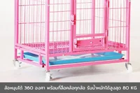 กรงสัตว์เลี้ยง เหล็ก เคลือบสี กันสนิม 45x61x58 ซม. สีชมพู RT1908131-1 กรงสัตว์เลี้ยง เหล็ก เคลือบสี กันสนิม 45x61x58 ซม. สีชมพู RT1908131-1