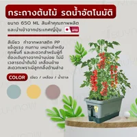 กระถางต้นไม้ 650 ML รดน้ำอัตโนมัติ สีเขียว JP QUALITY 34x64x32 ซม. MA-2286 กระถางต้นไม้ 650 ML รดน้ำอัตโนมัติ สีเขียว JP QUALITY 34x64x32 ซม. MA-2286