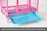 กรงสัตว์เลี้ยง เหล็ก เคลือบสี กันสนิม 45x61x58 ซม. สีชมพู RT1908131-1 กรงสัตว์เลี้ยง เหล็ก เคลือบสี กันสนิม 45x61x58 ซม. สีชมพู RT1908131-1