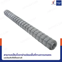 รั้วตาข่าย รั้วตาข่ายถักปม ช่อง 4x4 นิ้ว หนา 2 มม. 2x30 เมตร