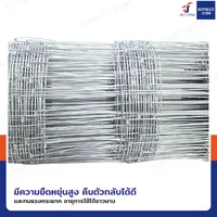 รั้วตาข่ายถักปม รุ่นตาถี่ล่างห่างบน ช่อง 4x6 นิ้ว หนา 2 มม. 1.2x50 เมตร รั้วตาข่ายถักปม รุ่นตาถี่ล่างห่างบน ช่อง 4x6 นิ้ว หนา 2 มม. 1.2x50 เมตร
