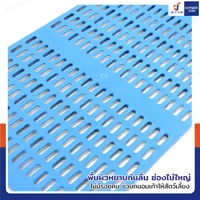 เเผ่นสเเลทพลาสติก PP แผ่นรองกรงสัตว์เลี้ยง 42x58x1.5 cm แพ็ค 10 ชิ้น เเผ่นสเเลทพลาสติก PP แผ่นรองกรงสัตว์เลี้ยง 42x58x1.5 cm แพ็ค 10 ชิ้น