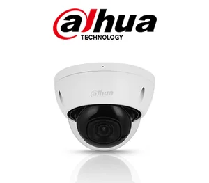 IP CCTV