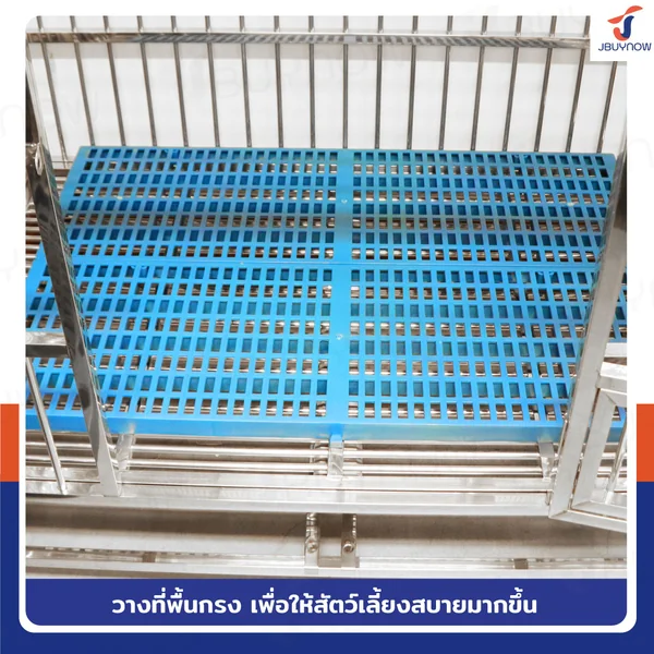 เเผ่นสเเลทพลาสติก แผ่นรองกรงสัตว์เลี้ยง 30x90x3 ซม. แพ็คละ 10 แผ่น JBUYNOW 9303 image 5 เเผ่นสเเลทพลาสติก แผ่นรองกรงสัตว์เลี้ยง 30x90x3 ซม. แพ็คละ 10 แผ่น JBUYNOW 9303 image 5