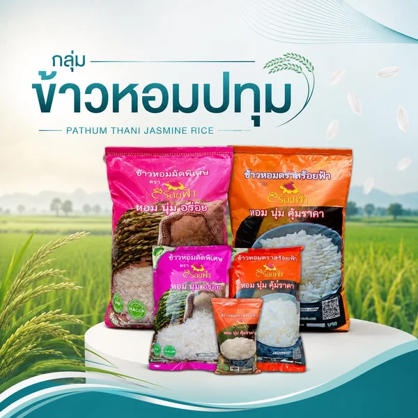 ข้าวหอมปทุม วิรัชทุ่งสงค้าข้าว