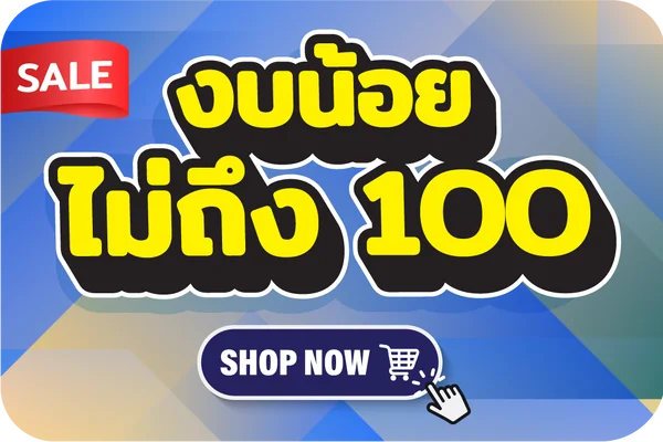 งบน้อยไม่ถึง 100