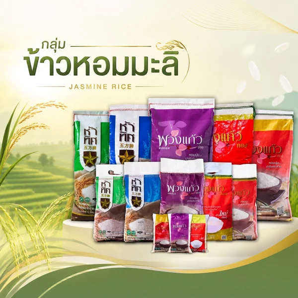 ข้าวหอมมะลิ วิรัชทุ่งสงค้าขาว