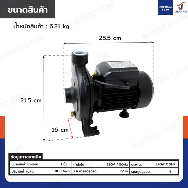 ปั๊มน้ำหอยโข่ง ปั๊มน้ำ 370W 0.5 แรงม้า ขนาด 1 นิ้ว รุ่น CPM-130 image 2 ปั๊มน้ำหอยโข่ง ปั๊มน้ำ 370W 0.5 แรงม้า ขนาด 1 นิ้ว รุ่น CPM-130 image 2