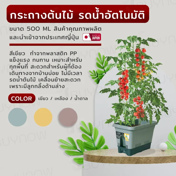 กระถางต้นไม้ 500 ML รดน้ำอัตโนมัติ สีเขียว JP QUALITY 28x50x32 ซม. MA-2283 กระถางต้นไม้ 500 ML รดน้ำอัตโนมัติ สีเขียว JP QUALITY 28x50x32 ซม. MA-2283