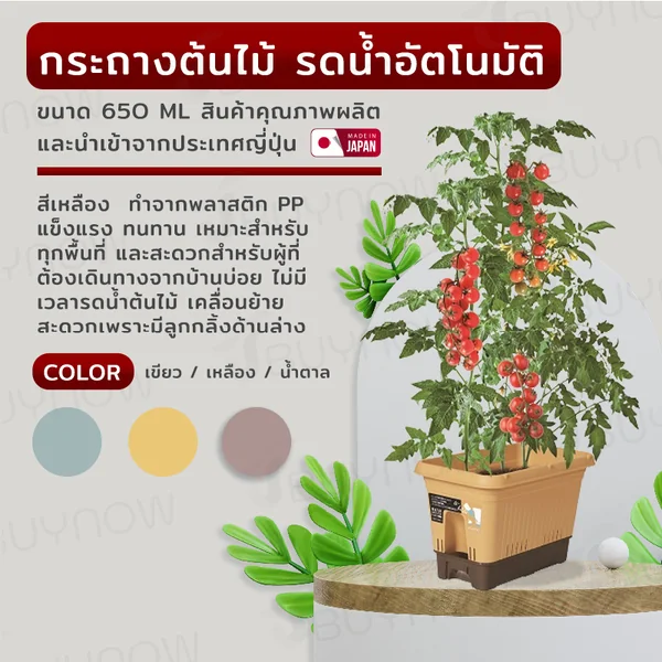กระถางต้นไม้ 650 ML รดน้ำอัตโนมัติ สีเหลือง JP QUALITY 34x64x32 ซม. MA-2284