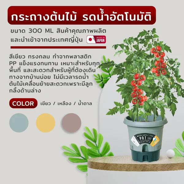 กระถางต้นไม้ 300 ML รดน้ำอัตโนมัติ สีเขียว JP QUALITY 29x29x29 ซม. MA-2289 กระถางต้นไม้ 300 ML รดน้ำอัตโนมัติ สีเขียว JP QUALITY 29x29x29 ซม. MA-2289