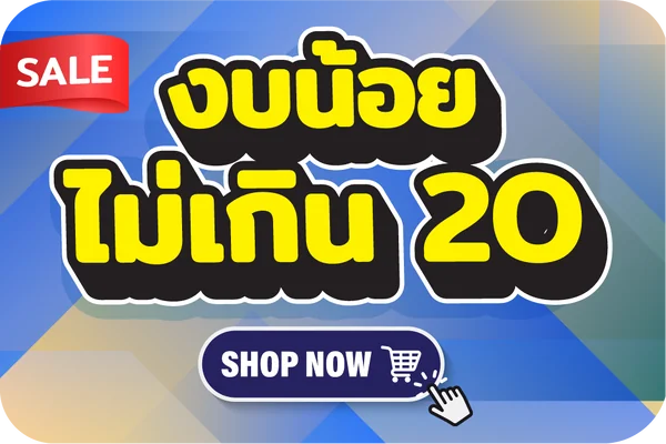 งบน้อยไม่เกิน 20