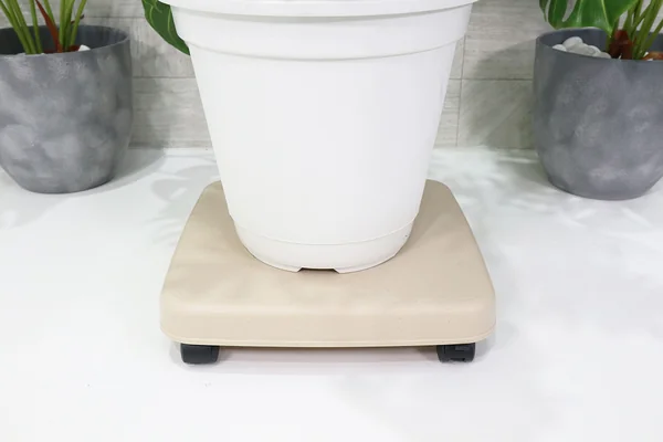ฐานรอง พลาสติก แบบรถเข็น 4 ล้อ JP QUALITY SIZE M 30x30x7 ซม. สีเบจ 4973230403940 ฐานรอง พลาสติก แบบรถเข็น 4 ล้อ JP QUALITY SIZE M 30x30x7 ซม. สีเบจ 4973230403940