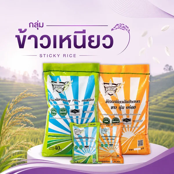 ข้าวเหนียว วิรัชทุ่งสงค้าข้าว